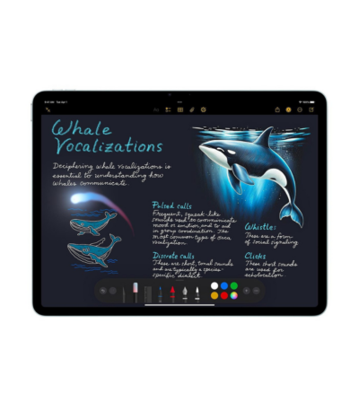 apple-ipad-air-11-pouces-m3-256-go-wi-fi-5g