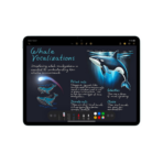 ipad-air-13-2024-m3-512gb-wi-fi-cellular